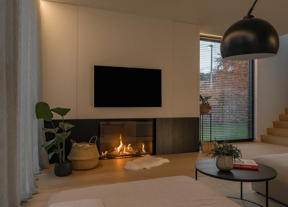 true vision braskamin